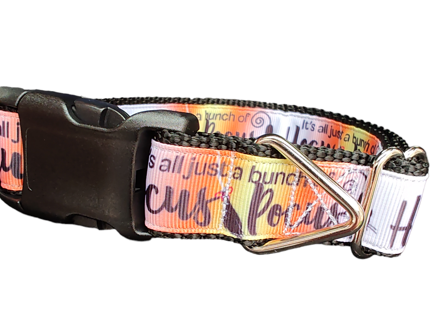 Halloween Hocus Pocus Nylon Dog Collar - Doot's Pet LLC Collars For A Cause