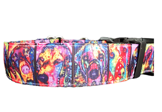 Rainbow Pup Portraits Nylon Dog Collar - Doot's Pet LLC Collars For A Cause
