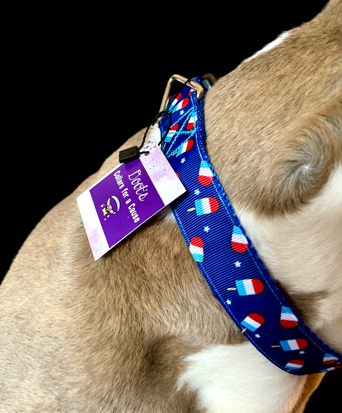 Summer Pop Blue Nylon Dog Collar MD, LG, XL, Leash - Doot's Pet LLC Collars For A Cause