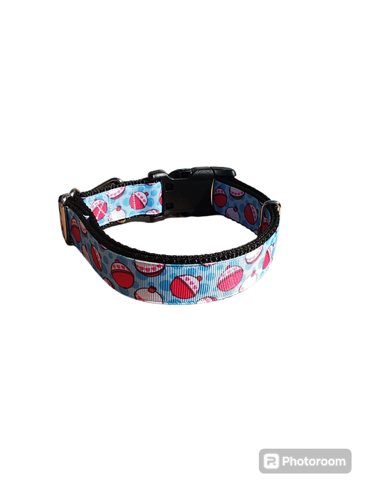 Fishing Bobbers Nylon Dog Collar