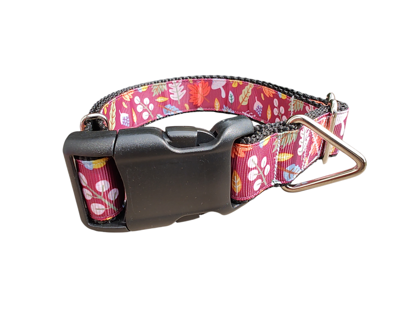 Fall Leaves Nylon Dog Collar