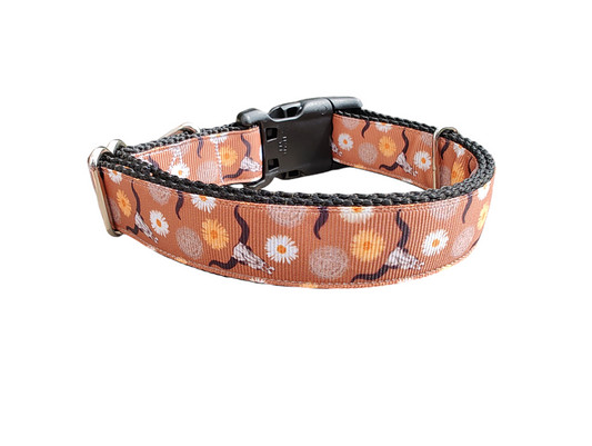 Skulls and Tumbleweeds Cowboy Nylon Dog Collar