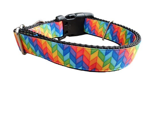 Rainbow Rays Nylon Dog Collar