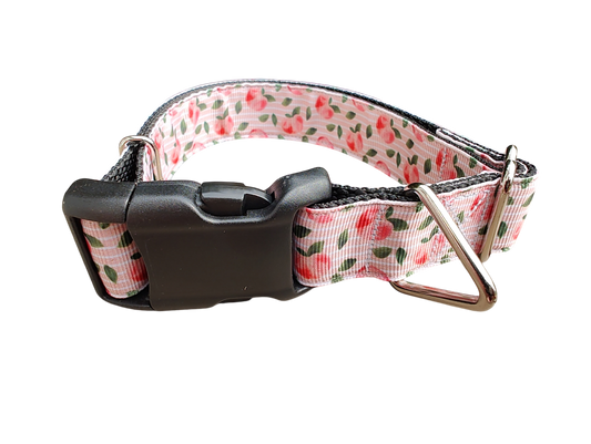 Peach Nylon Dog Collar