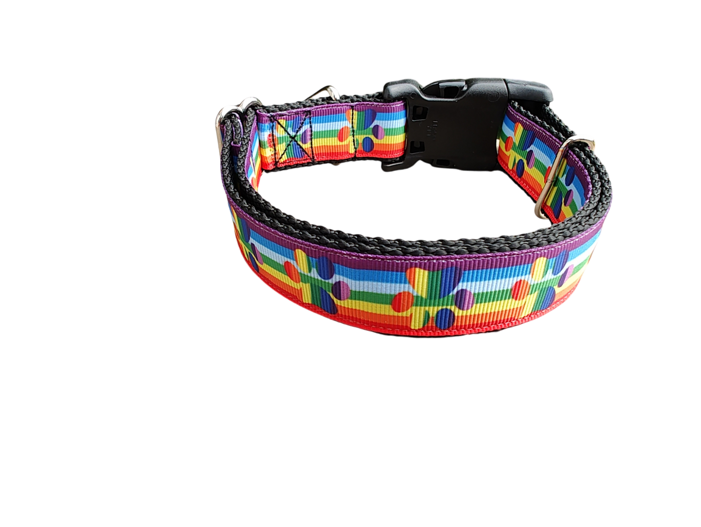 Rainbow Pride Paws Nylon Dog Collar