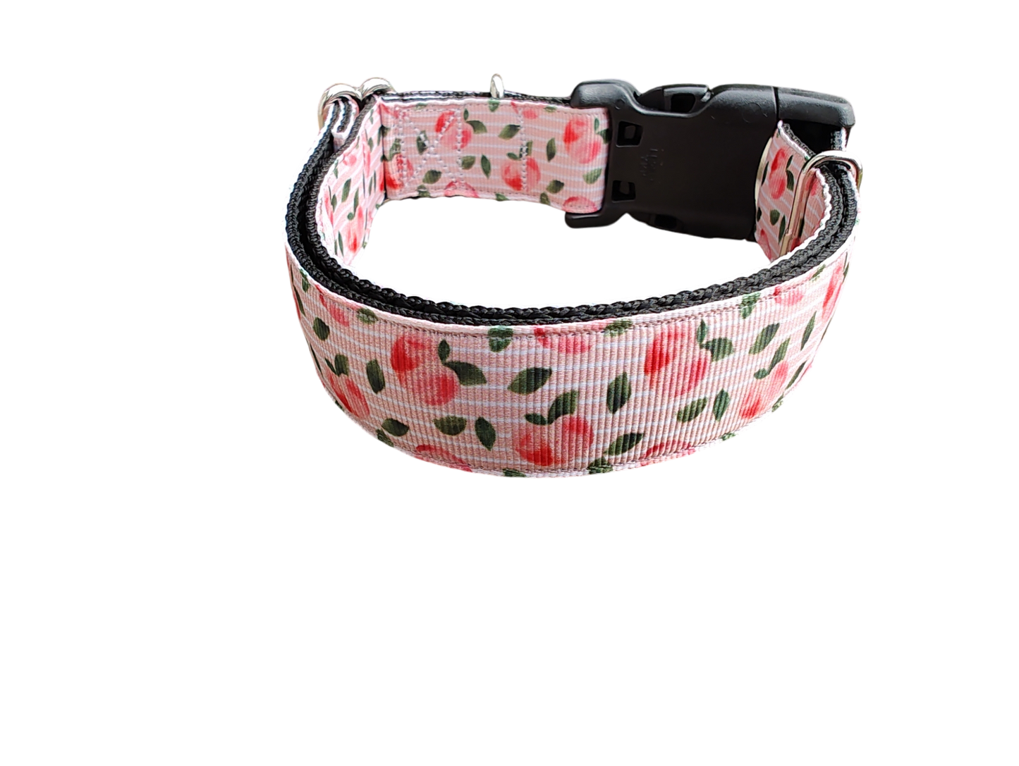 Peach Nylon Dog Collar