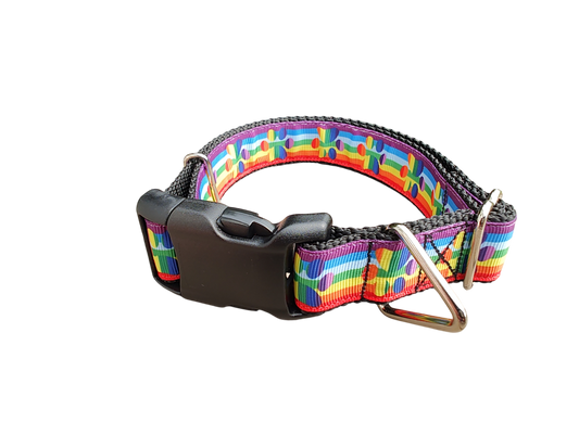 Rainbow Pride Paws Nylon Dog Collar