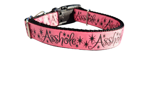 Asshole Pink Glitter Nylon Dog Collar