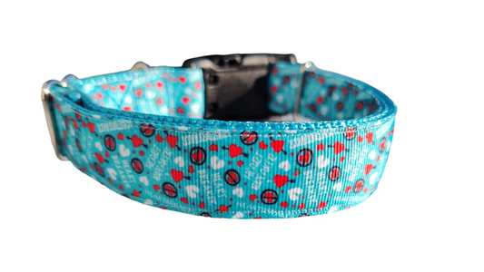 Heartbreaker Nylon Dog Collar