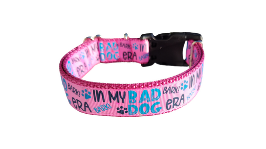 Bad Dog Era Nylon Dog Collar