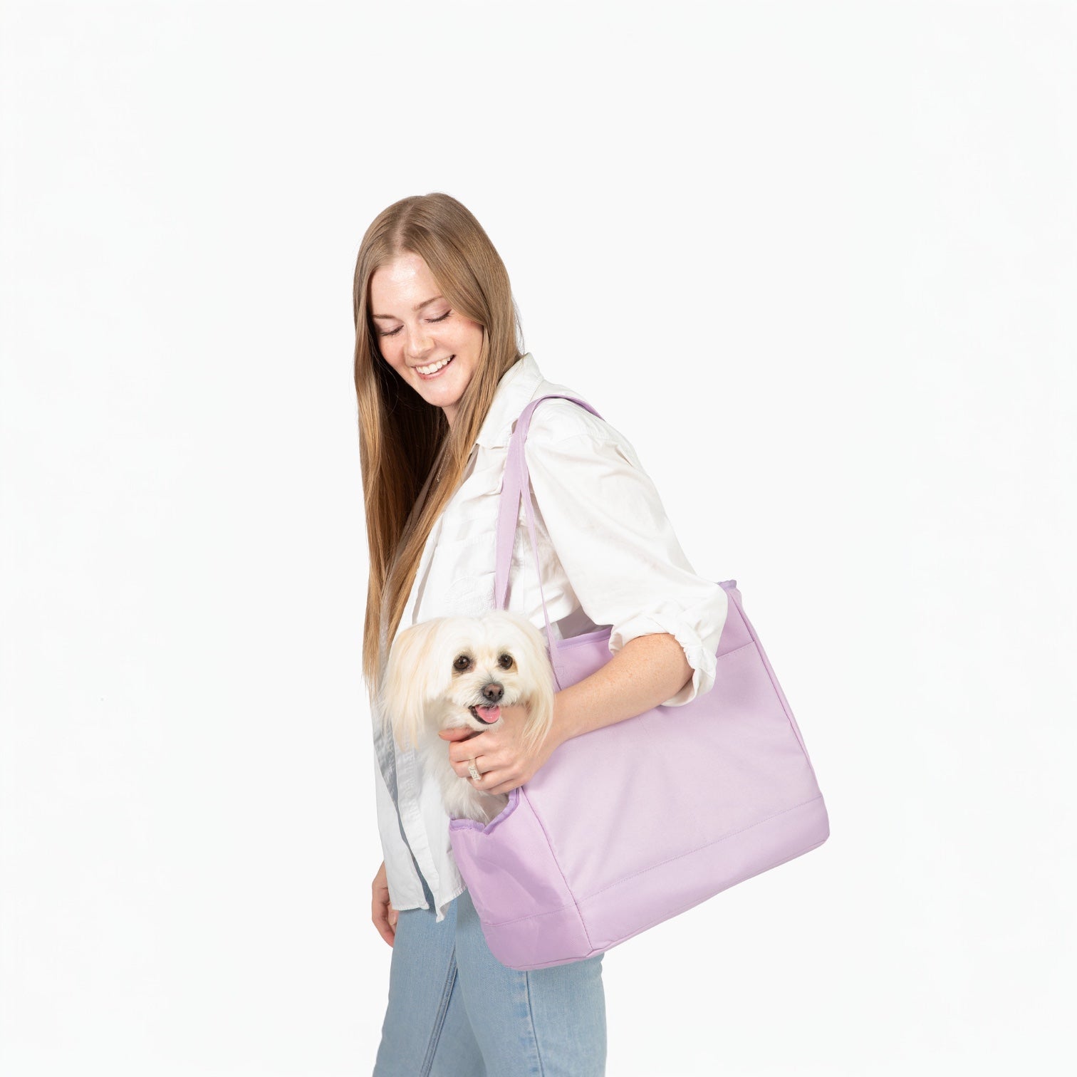 Come Here Buddy Pet Tote Bag - Doot's Pet LLC Collars For A Cause