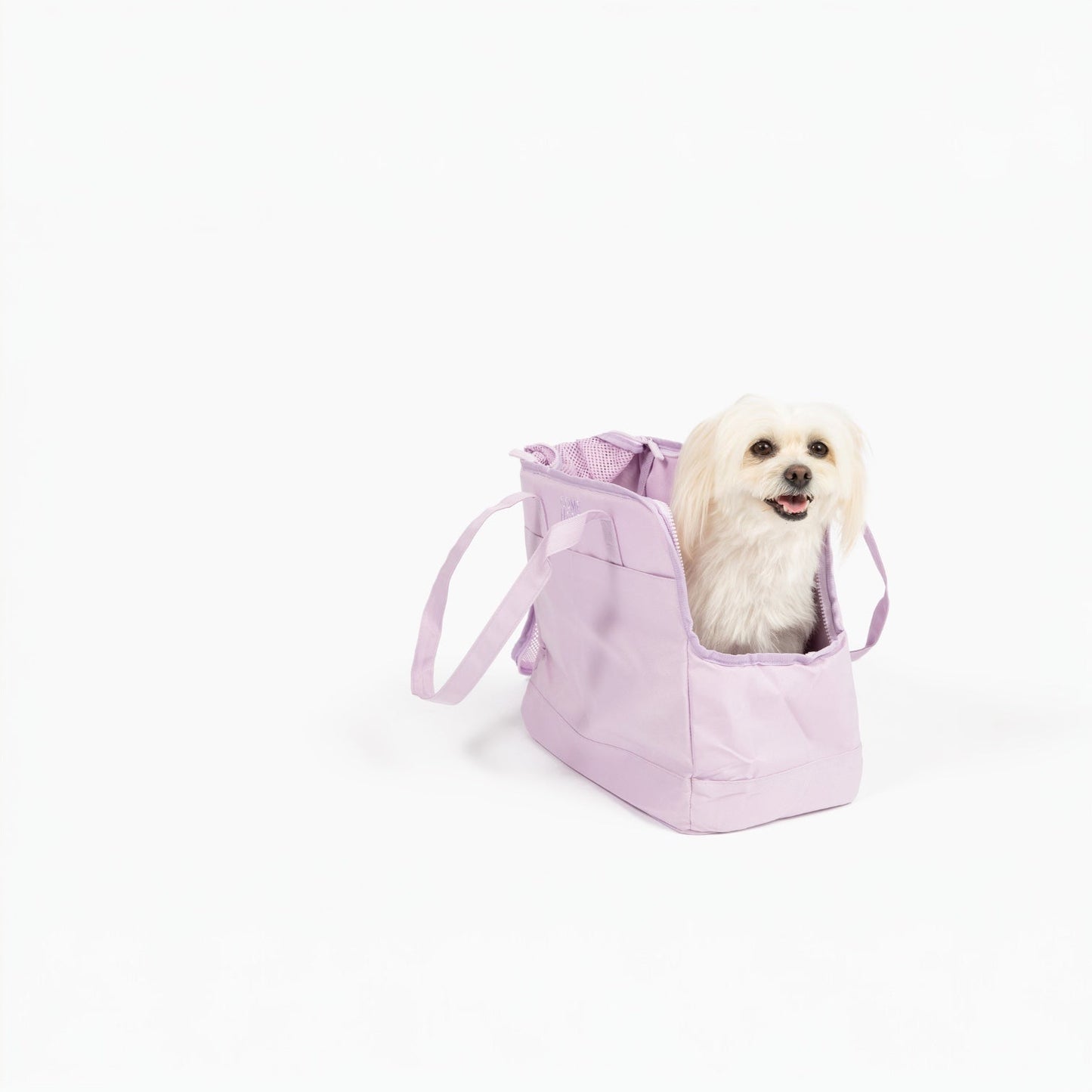Come Here Buddy Pet Tote Bag - Doot's Pet LLC Collars For A Cause