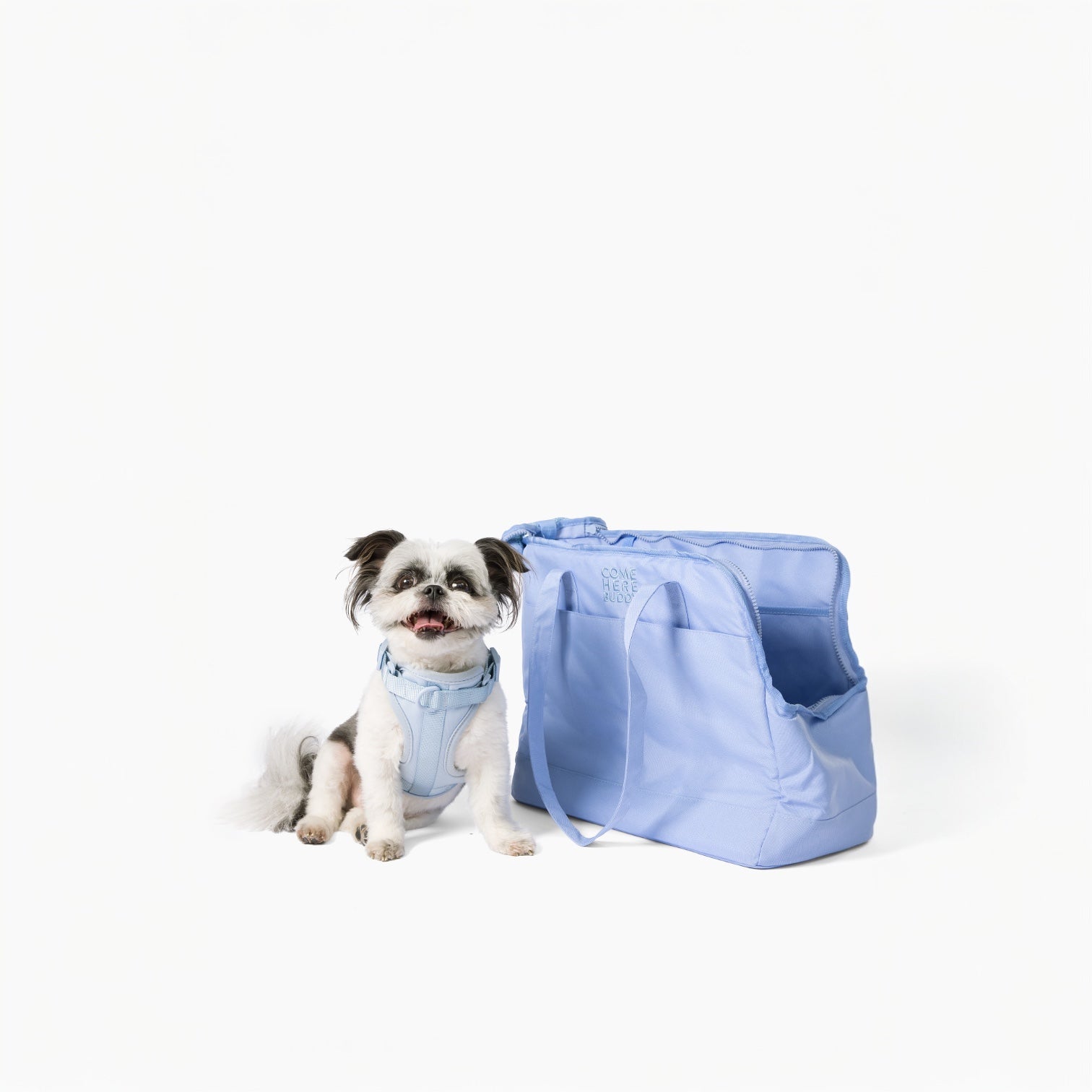 Come Here Buddy Pet Tote Bag - Doot's Pet LLC Collars For A Cause
