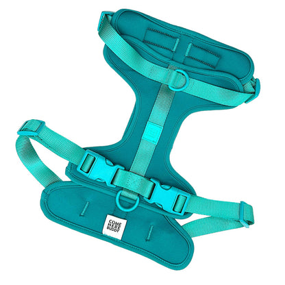 Come Here Buddy Harness