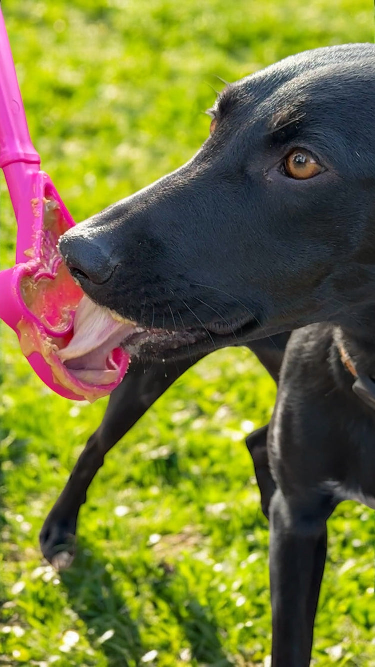 eStick Hand-Held Dog Enrichment Toy - Interactive Lick Stick | USA Made - Doot's Pet LLC Collars For A Cause