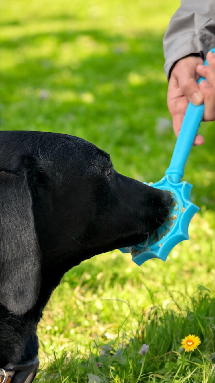 eStick Hand-Held Dog Enrichment Toy - Interactive Lick Stick | USA Made - Doot's Pet LLC Collars For A Cause
