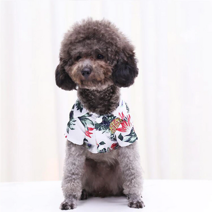 Hawaiian Pet Shirts - Doot's Pet LLC Collars For A Cause