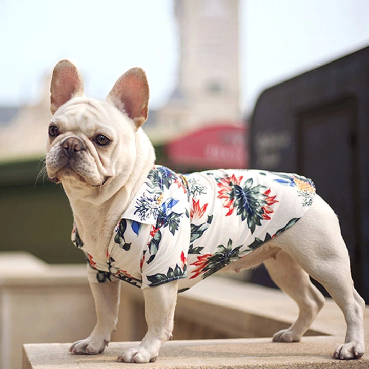 Hawaiian Pet Shirts - Doot's Pet LLC Collars For A Cause