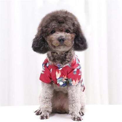 Hawaiian Pet Shirts - Doot's Pet LLC Collars For A Cause
