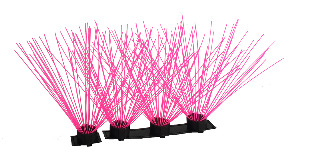 CoyoteWhiskers - Doot's Pet LLC Collars For A Cause