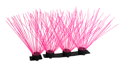 CoyoteWhiskers - Doot's Pet LLC Collars For A Cause