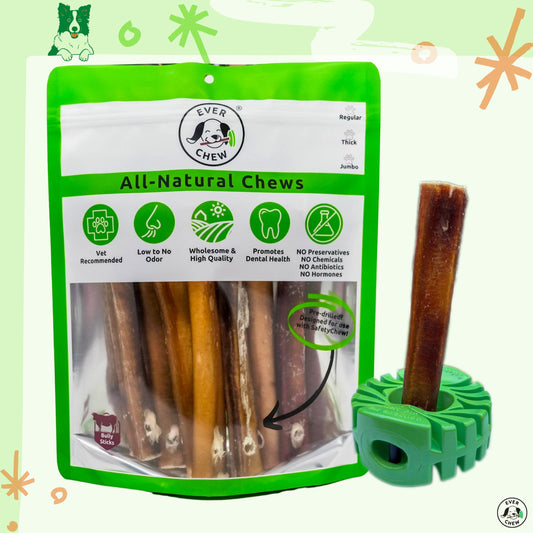 SafetyChew Plus Medium Dog Starter Pack: Heavy-Duty Bully Stick Holder + All-Natural Bully Sticks for Dogs 16-39+lbs - Doot's Pet LLC Collars For A Cause