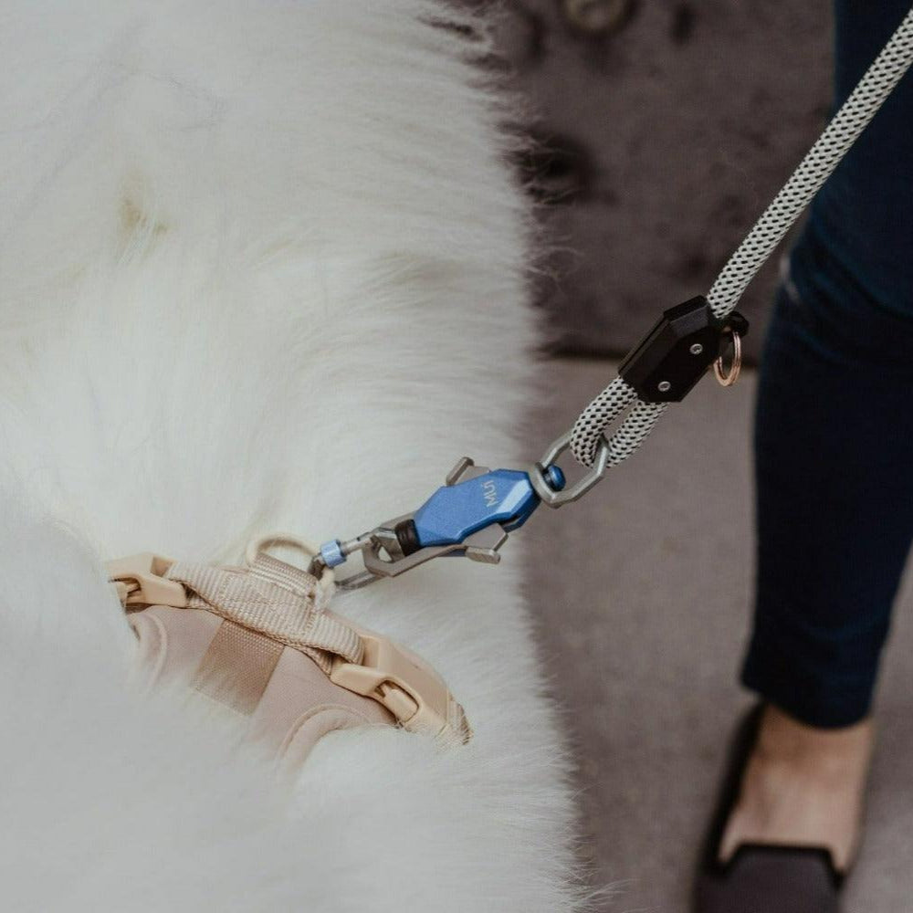 Patented Magnetic Dog Leash - Doot's Pet LLC Collars For A Cause