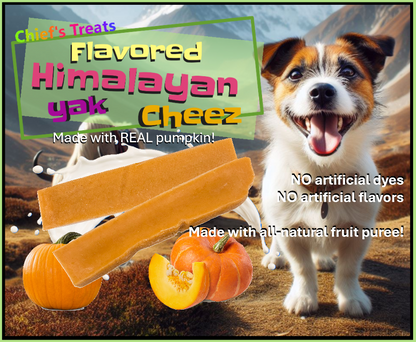 Pumpkin Flavored Yak Cheese Chew - made with REAL PUMPKIN Puree - Single - Doot's Pet LLC Collars For A Cause
