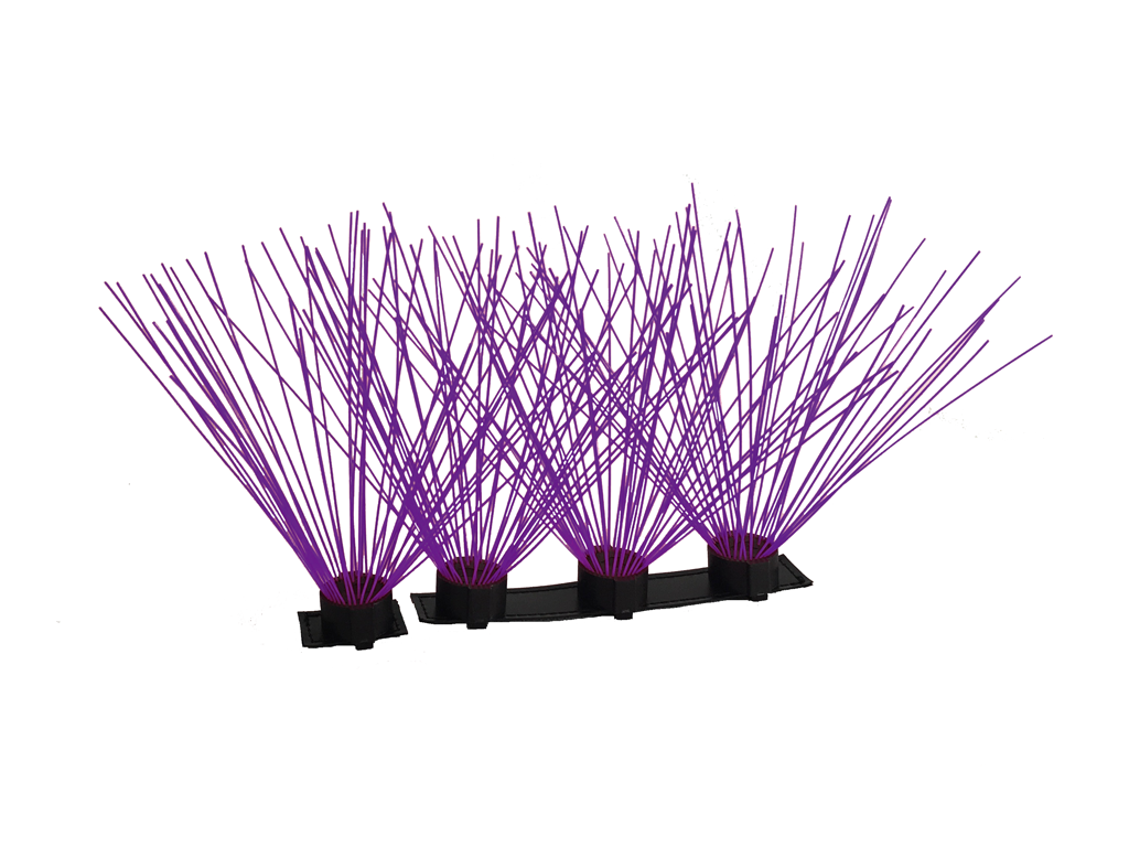 CoyoteWhiskers - Doot's Pet LLC Collars For A Cause