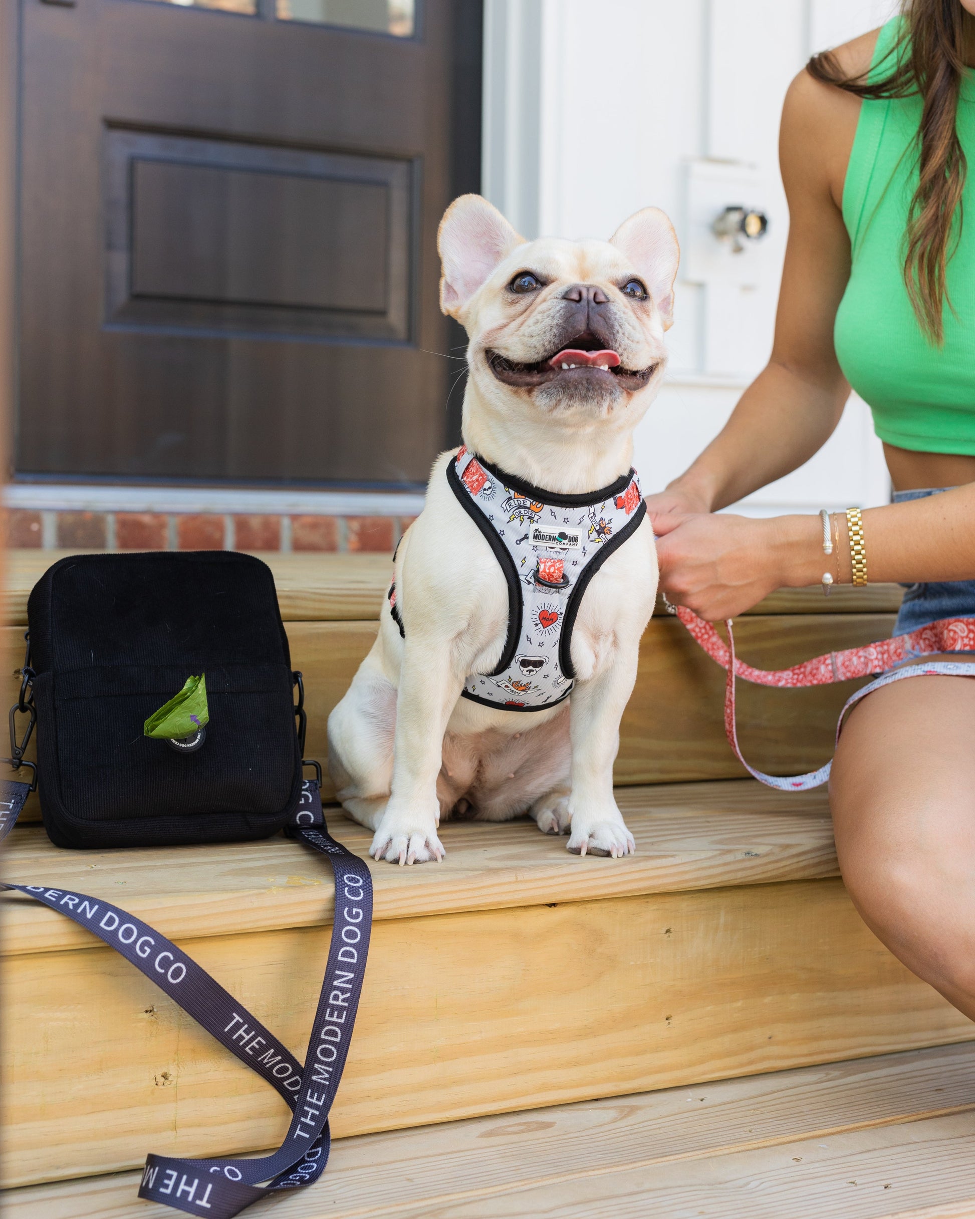 The Modern Dog Company - Bad to the Bone Harness - Doot's Pet LLC Collars For A Cause