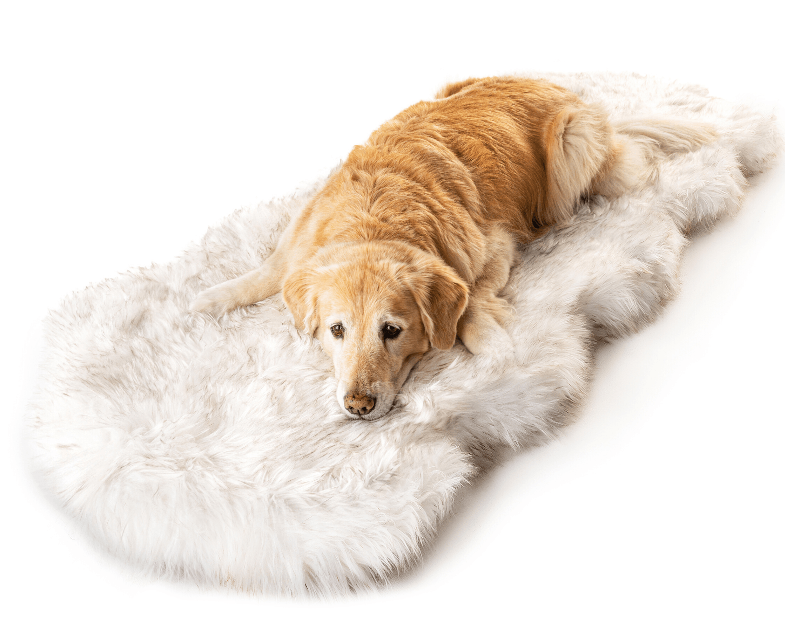 PupRug® Runner Faux Fur Memory Foam Dog Bed - Curve White with Brown Accents - Doot's Pet LLC Collars For A Cause