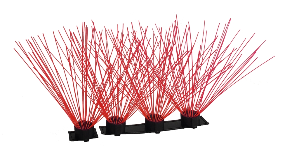 CoyoteWhiskers - Doot's Pet LLC Collars For A Cause