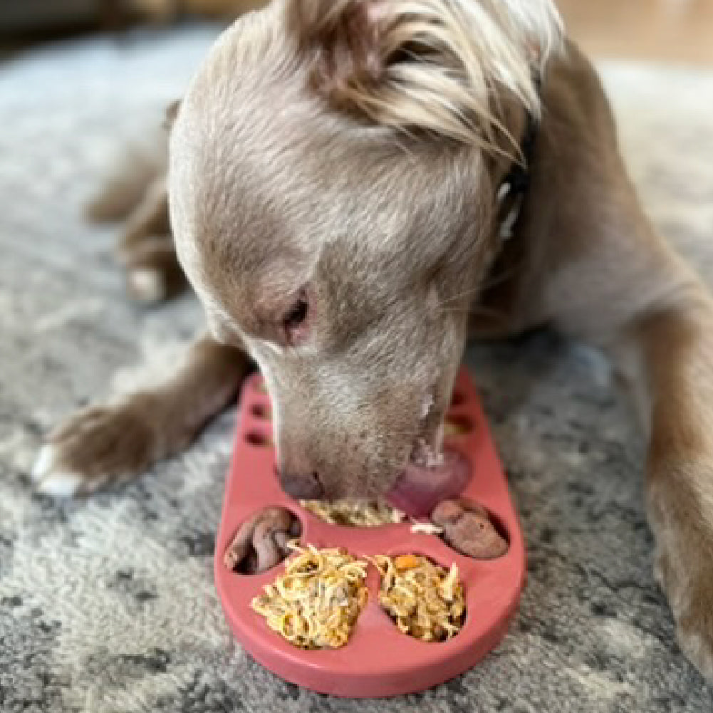 FreezPaw Mat -  Calming Slow Feeder - Doot's Pet LLC Collars For A Cause