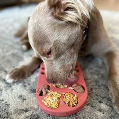 FreezPaw Mat -  Calming Slow Feeder - Doot's Pet LLC Collars For A Cause