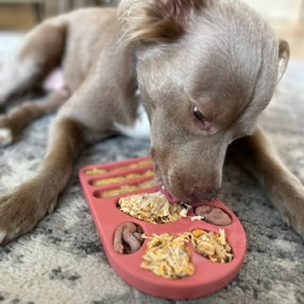 FreezPaw Mat -  Calming Slow Feeder - Doot's Pet LLC Collars For A Cause