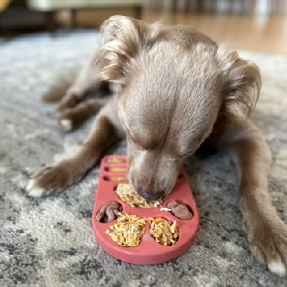 FreezPaw Mat -  Calming Slow Feeder - Doot's Pet LLC Collars For A Cause