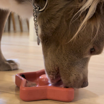 FreezStar - Long-Lasting Star Chew - Doot's Pet LLC Collars For A Cause