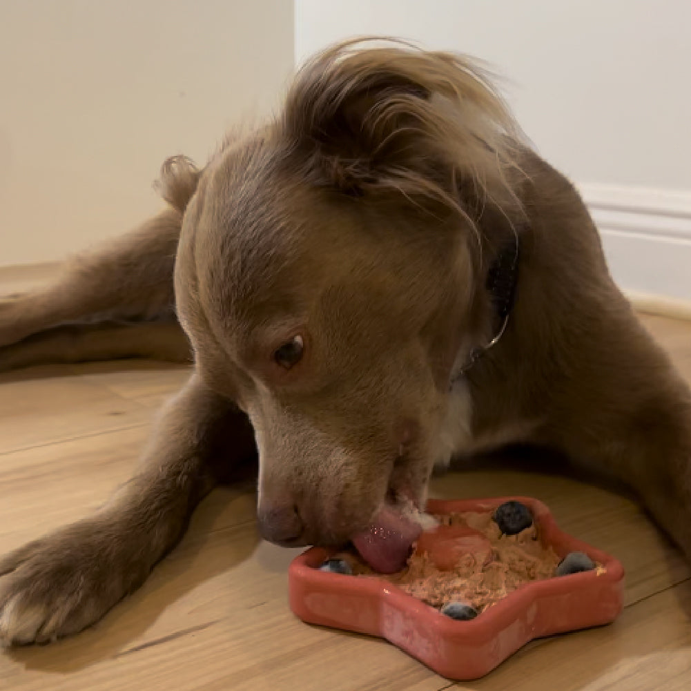 FreezStar - Long-Lasting Star Chew - Doot's Pet LLC Collars For A Cause