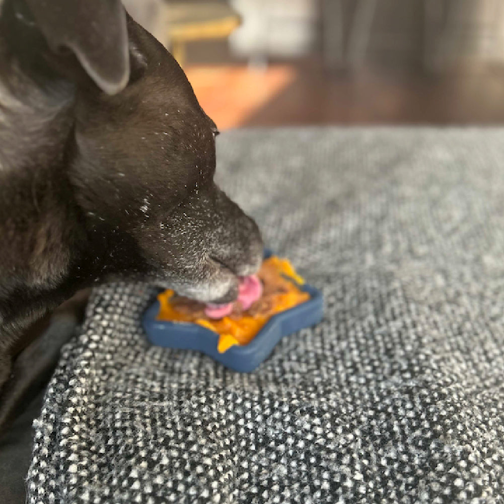 FreezStar - Long-Lasting Star Chew - Doot's Pet LLC Collars For A Cause