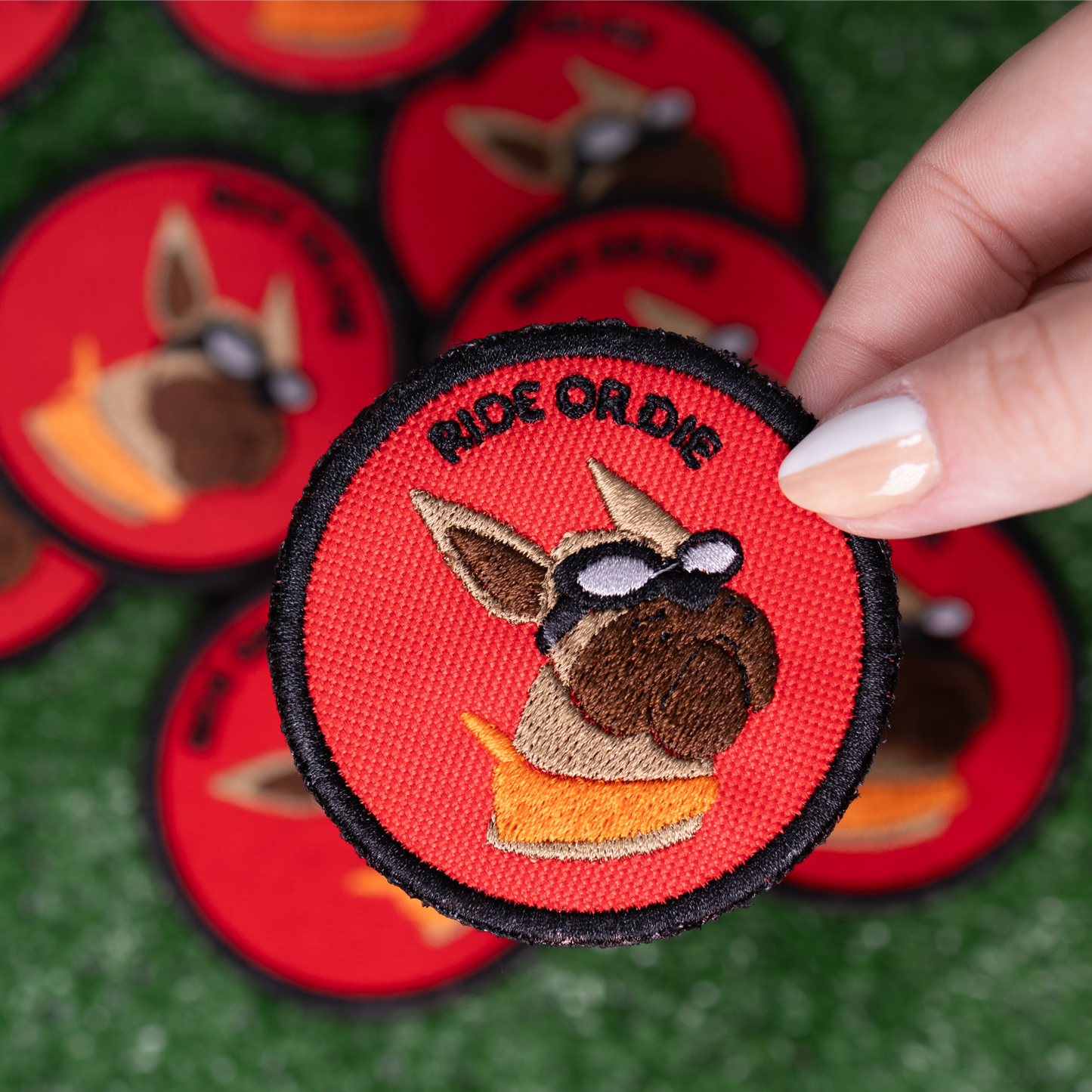 Ride or Die Patch