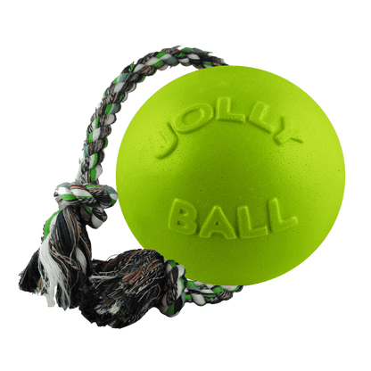 Romp-n-Roll - Doot's Pet LLC Collars For A Cause