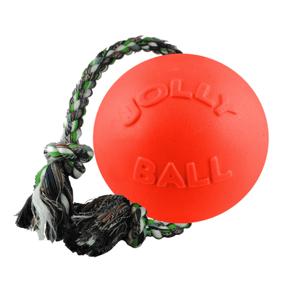 Romp-n-Roll - Doot's Pet LLC Collars For A Cause