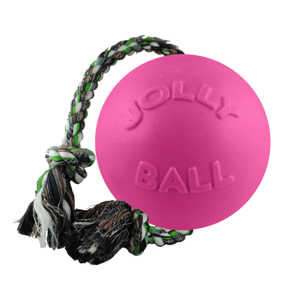 Romp-n-Roll - Doot's Pet LLC Collars For A Cause