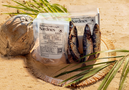 Dehydrated Wild-Caught Sardines for Cats & Dogs — 100% Single Ingredient | Raw Instincts Florida | Qty: 5 Fish - Doot's Pet LLC Collars For A Cause
