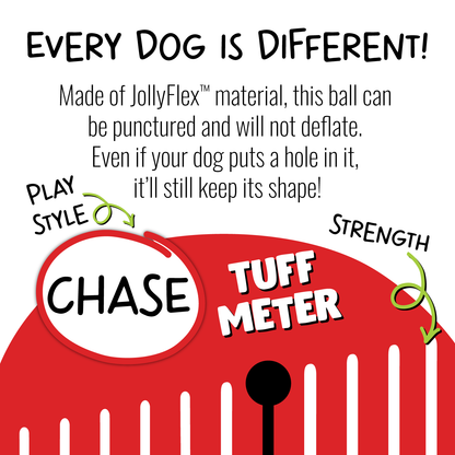 Jolly Soccer Ball - Doot's Pet LLC Collars For A Cause