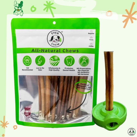 SafetyChew Small Dog Starter Pack: Pin-Lock Bully Stick Holder +  All-Natural Bully Sticks for Dogs Under 16lbs - Doot's Pet LLC Collars For A Cause