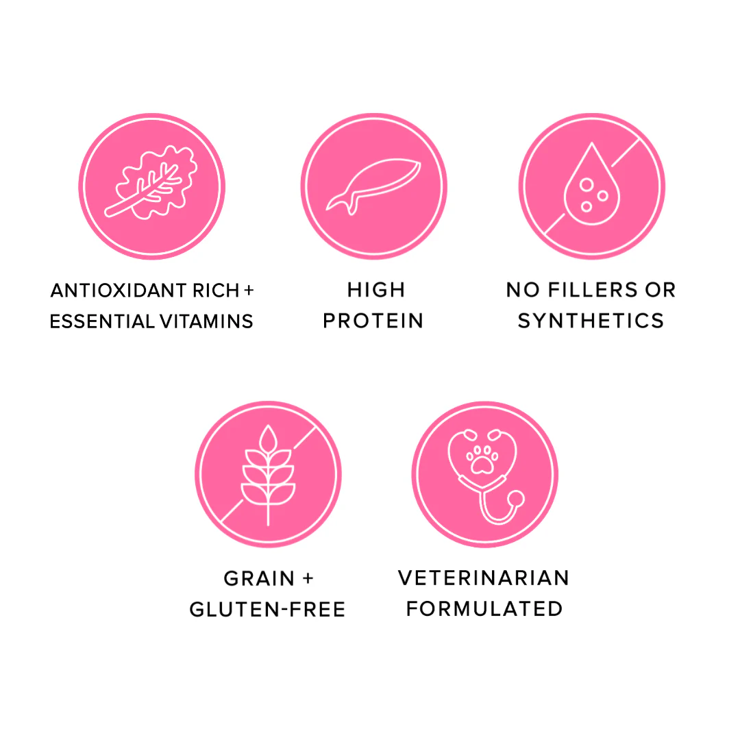 Ava's Pet Palace Freeze Dried Dog Treats - Salmon Puffs (3 oz) - Doot's Pet LLC Collars For A Cause