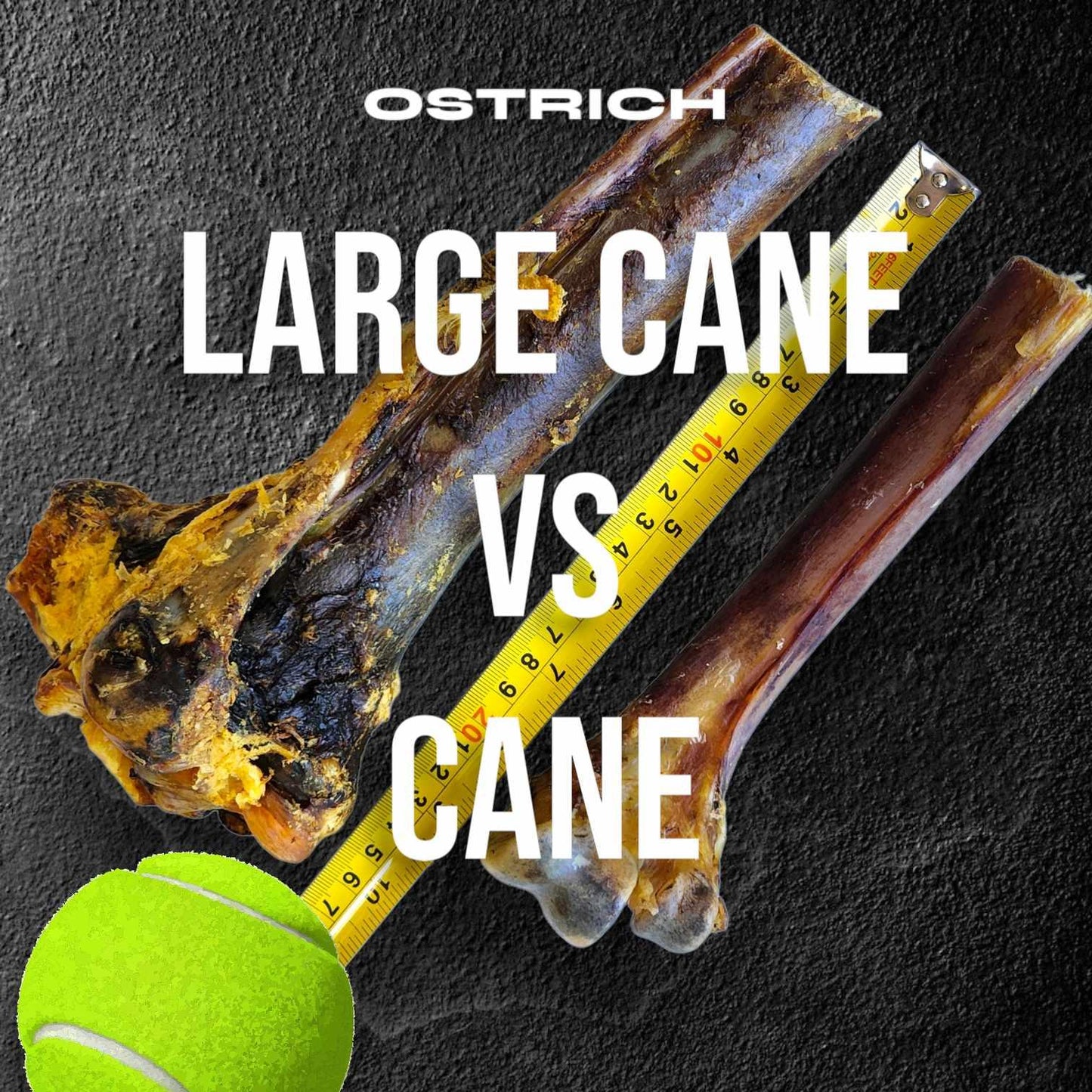 Large Ostrich Cane (11.5" x 5"): The Ultimate Long-Lasting Chew for Medium, Large & XL Dogs - Doot's Pet LLC Collars For A Cause