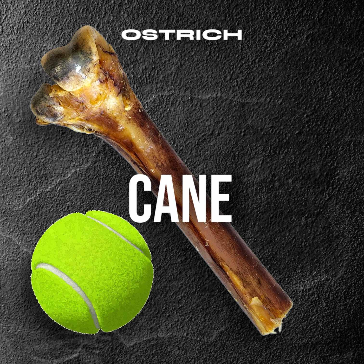 Medium Ostrich Cane (10" x 3"): The Long-Lasting, Flavor-Packed Chew for Medium & Large Dogs - Doot's Pet LLC Collars For A Cause