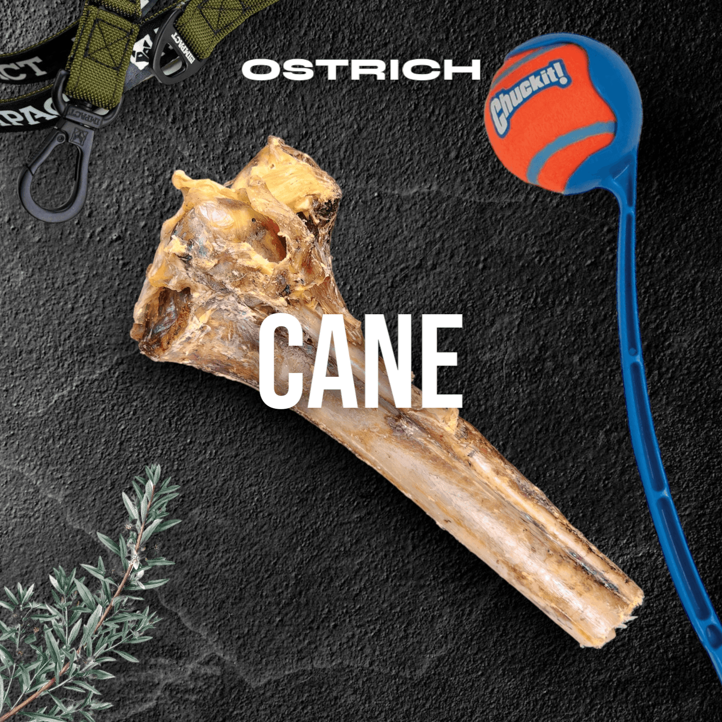 Power Chewer - Small Box - Doot's Pet LLC Collars For A Cause